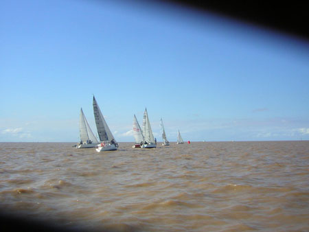 37regacic 25-02 012